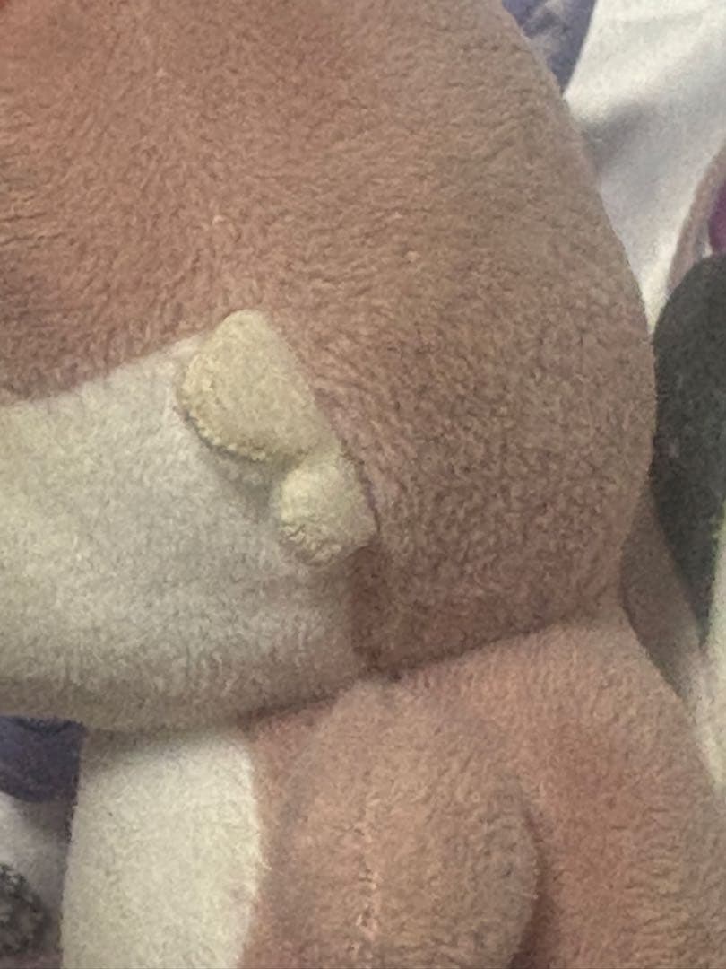 志麻 浦島坂田船 センラ あほの坂田 まぁる うらたぬき