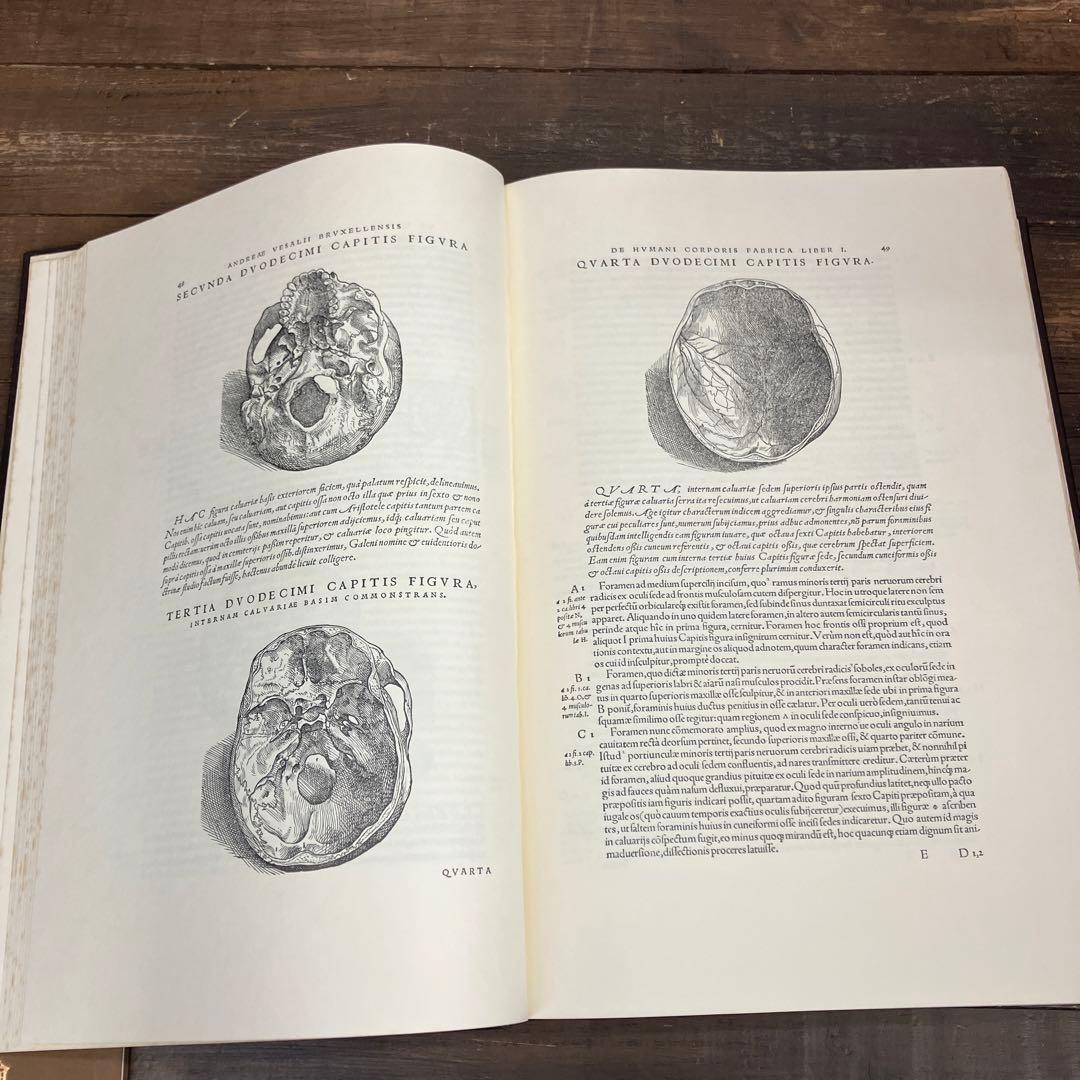 アンドレアス・ヴェザリウス　人体構造論　解説付き　古書　講談社　アンティーク