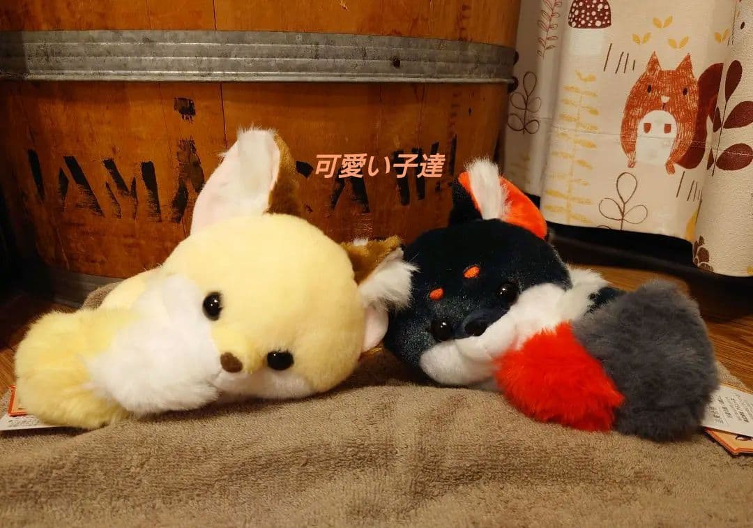 ちょコンとキツネ くるんとおねむ ようかん こんぺいとう ST