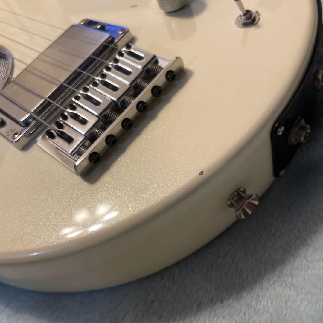 DIGI-ZO Fernandes コンデンサ交換済み