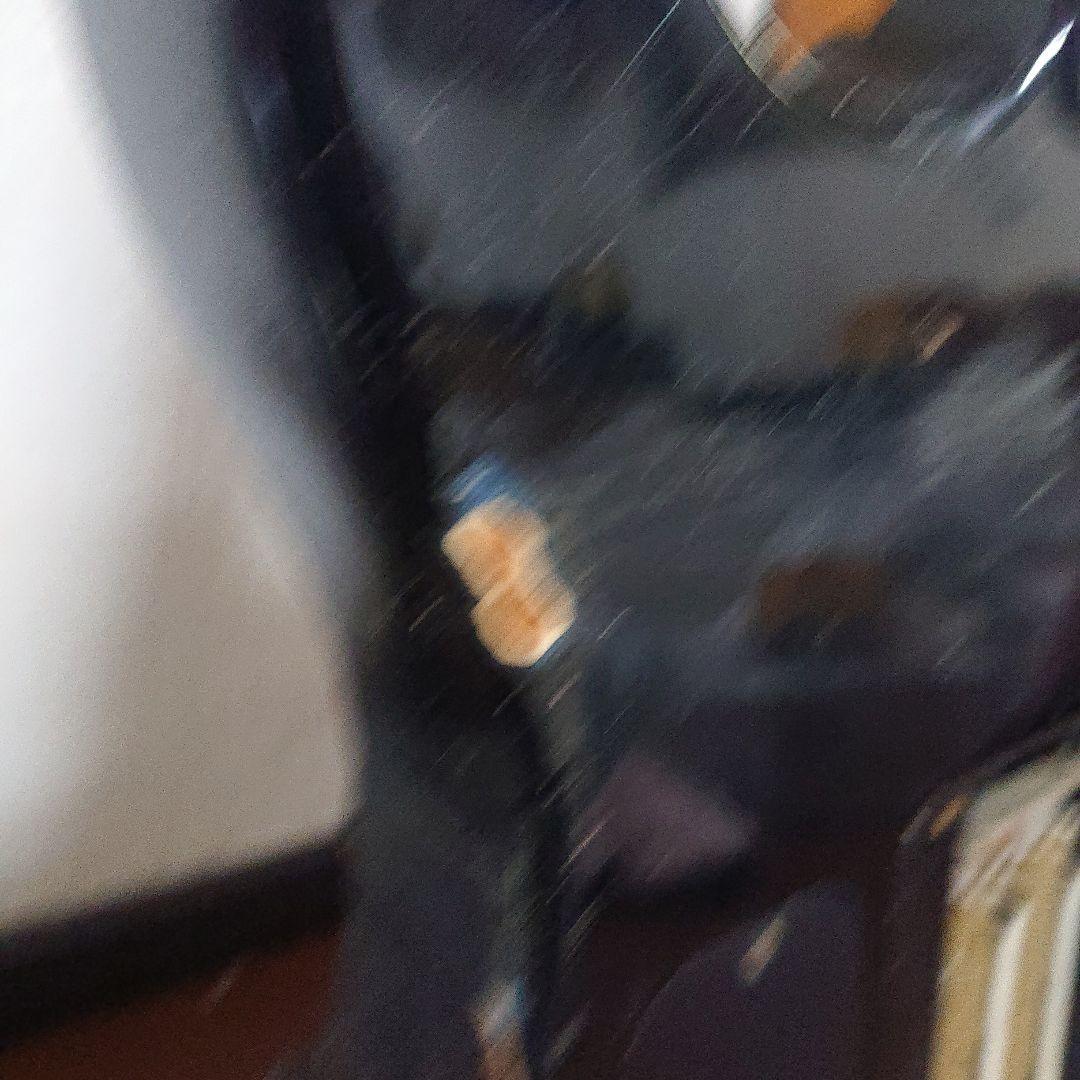 みかん06さん専用♡シャーベルエレキギター ブラックジャンク品