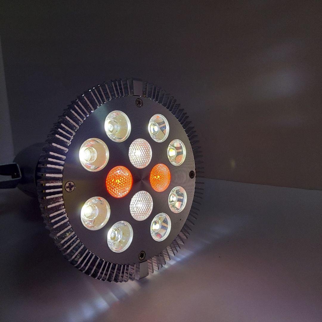 アクアリウムライト