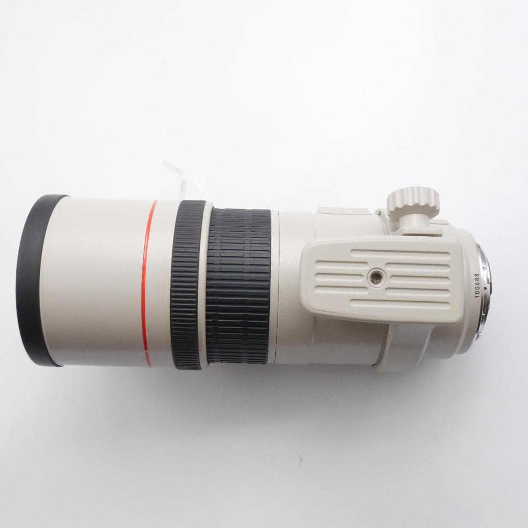 Canon EF 300mm F4 L IS USM キヤノン