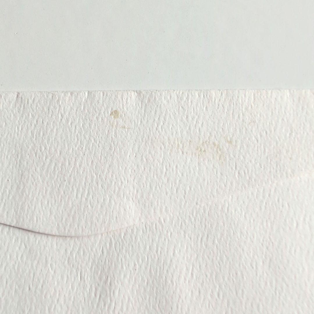 Disney Dollars 10ダラー ミニーマウス　2005年