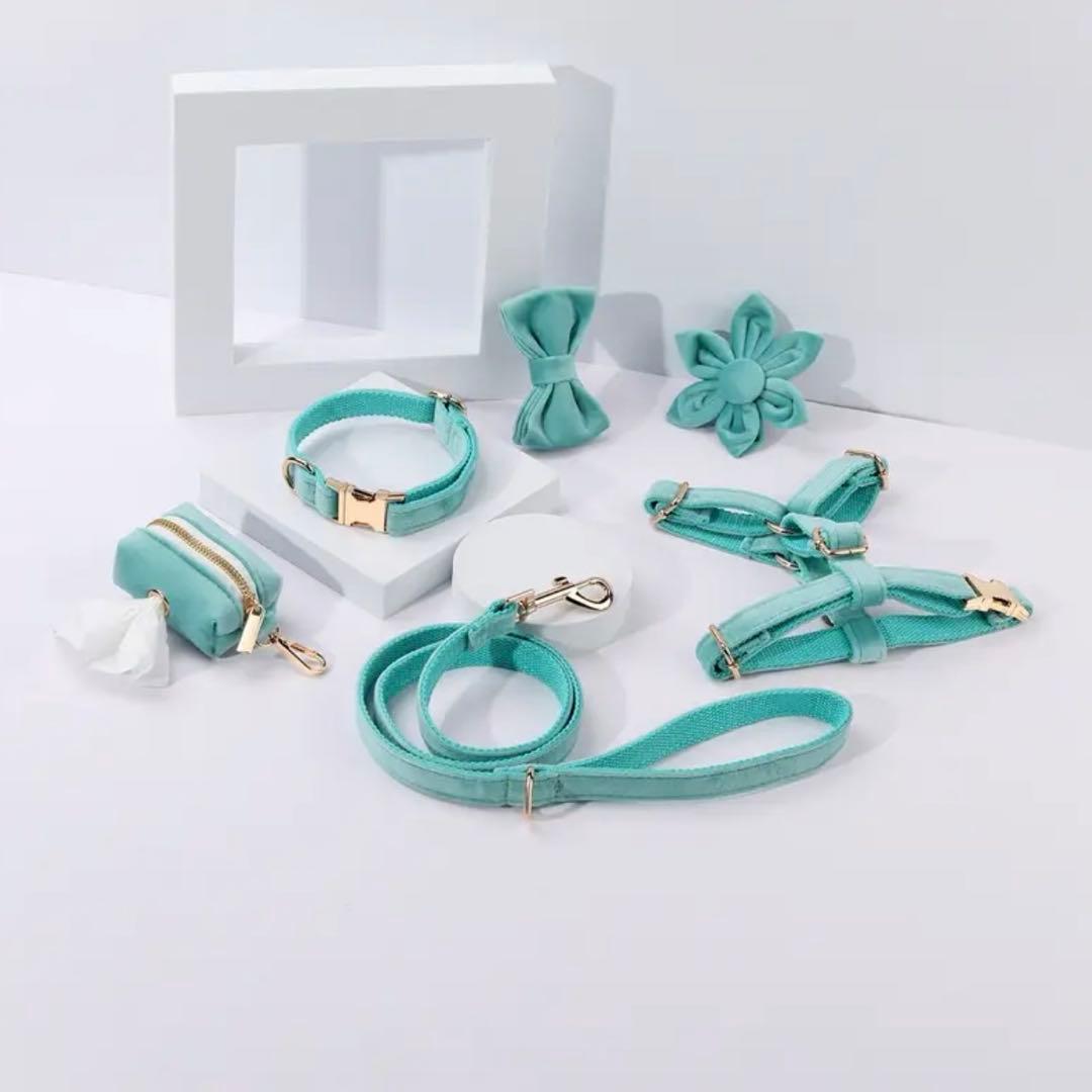 オーダー 首輪 名前 ハーネス ベルベット バックル ティファニー スカイブルー