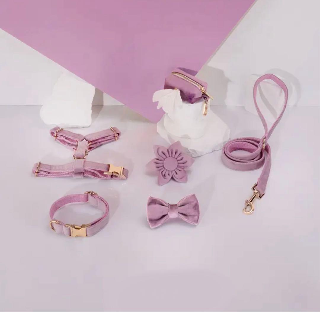 オーダー 首輪 名前 ハーネス ベルベット バックル ティファニー スカイブルー