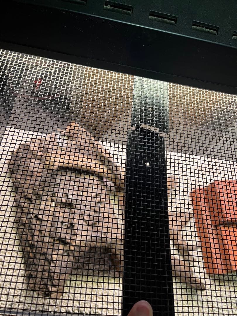 Vivaria repro1945 セット90×45×45