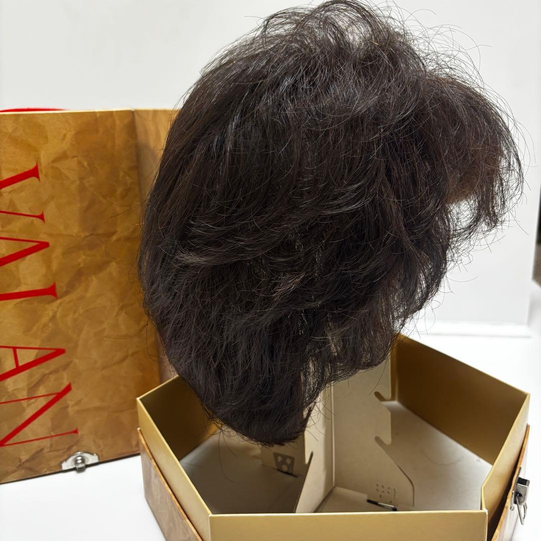 フォンテーヌ　ヴァラン　ナチュラルショートリバース　ウィッグ　VM33 F2B