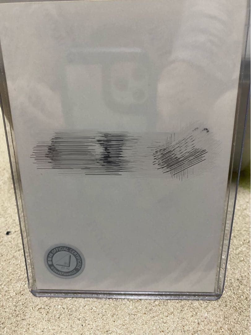 櫻坂46大園玲直筆サイン入り生写真2024年浴衣チュウ