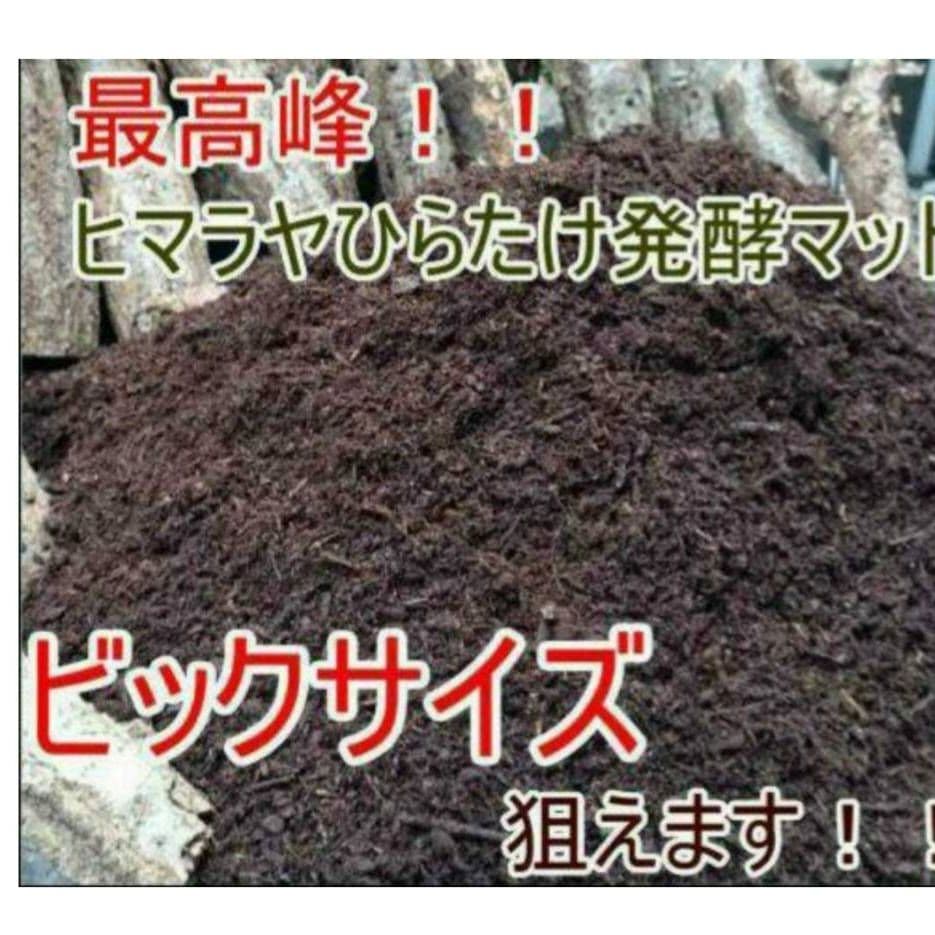 国産カブトムシ幼虫が大きくなる！改良版！発酵マット【たっぷり80リットル入り】