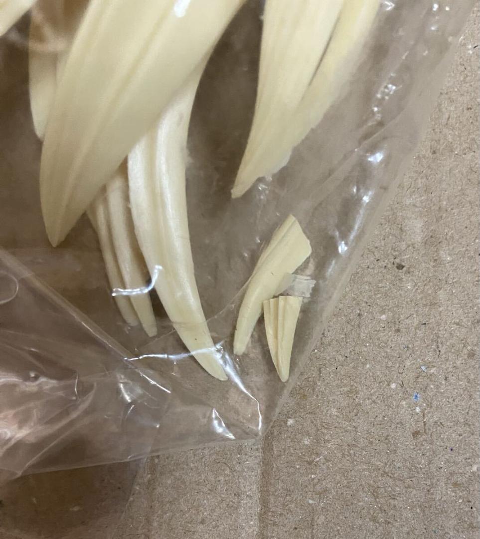 アミエ グラン 美少女戦士セーラームーン セーラーヴィーナス ガレージキット