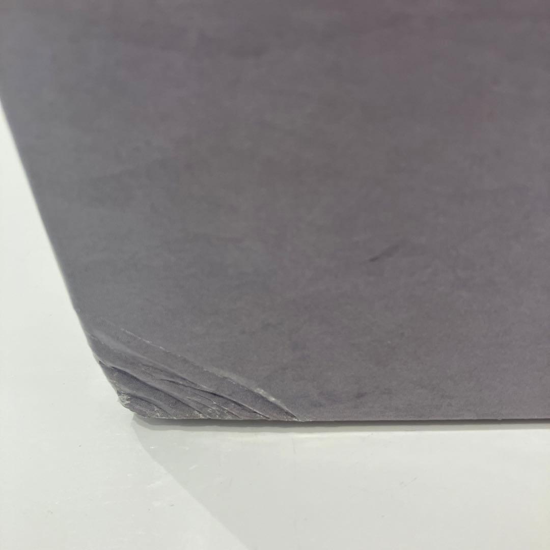 Panasonic MC-RSF1000-W 新品未開封