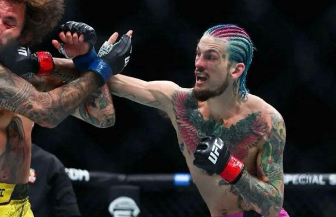 【新品未使用】UFC オフィシャル オープンフィンガー グローブ RIZIN