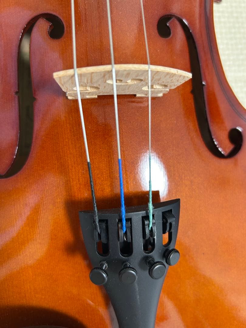 Carlo Giordano カルロジョルダーノ バイオリン VS-F1 4/4