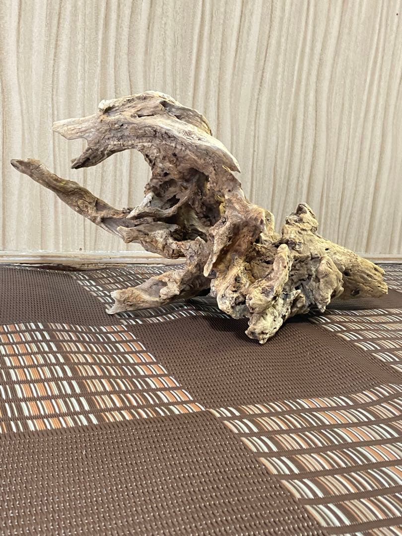 大型流木 44×28×24cm no.96