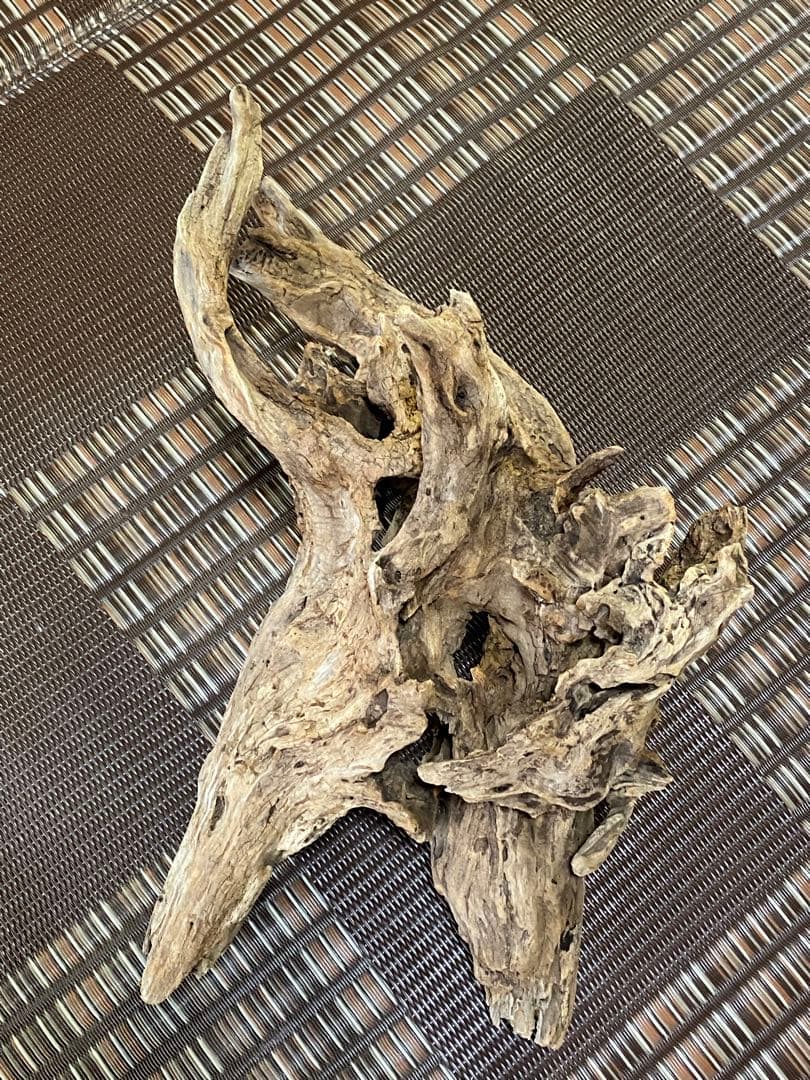 大型流木 44×28×24cm no.96