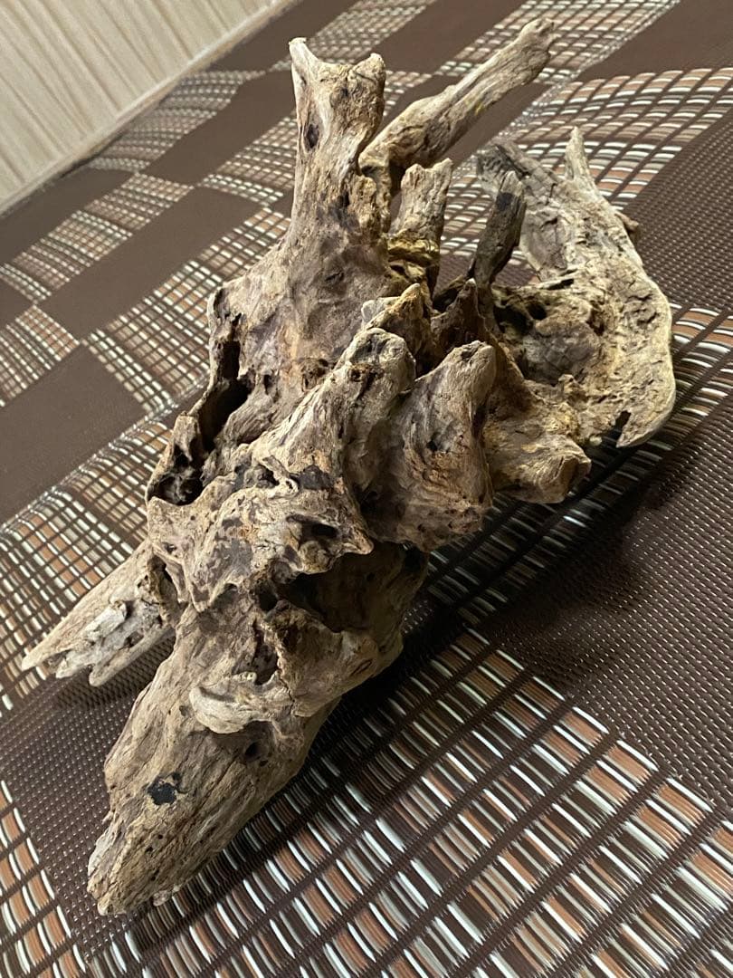 大型流木 44×28×24cm no.96