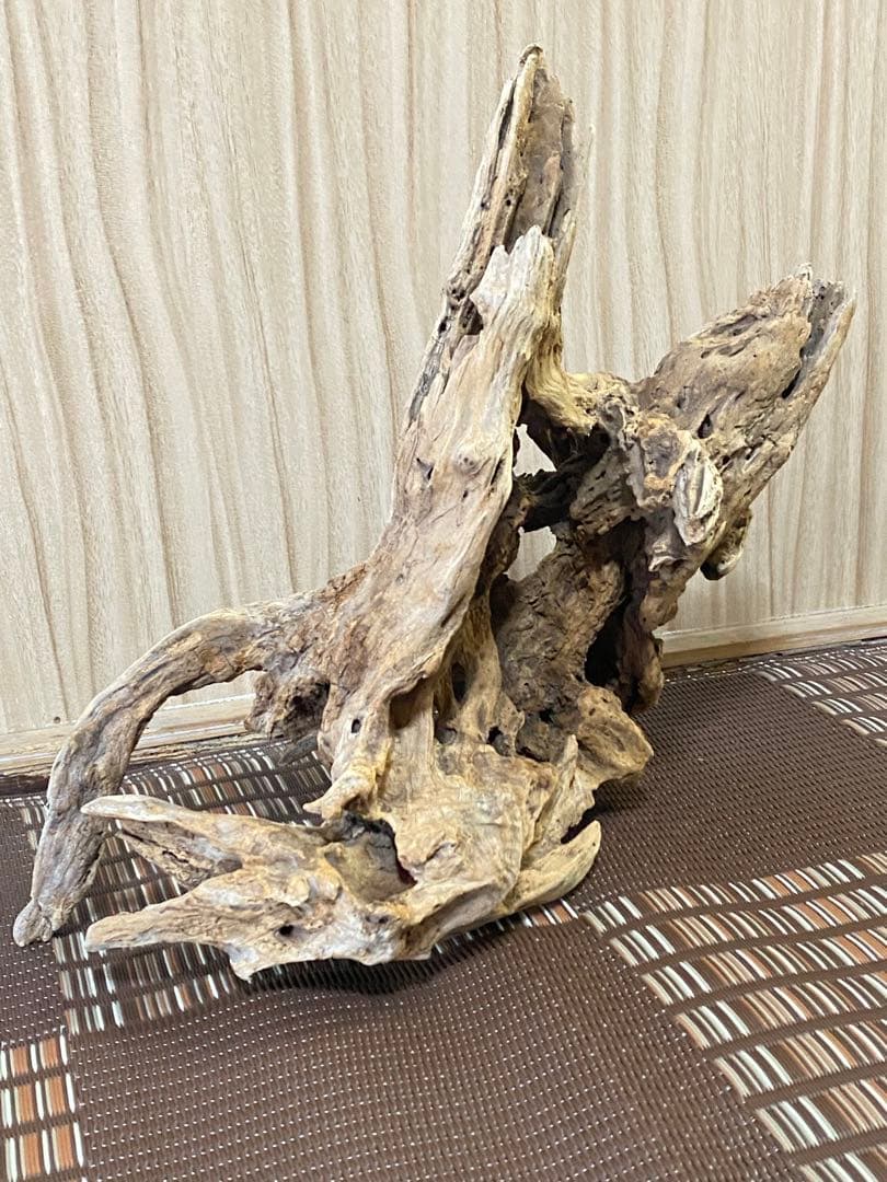 大型流木 44×28×24cm no.96