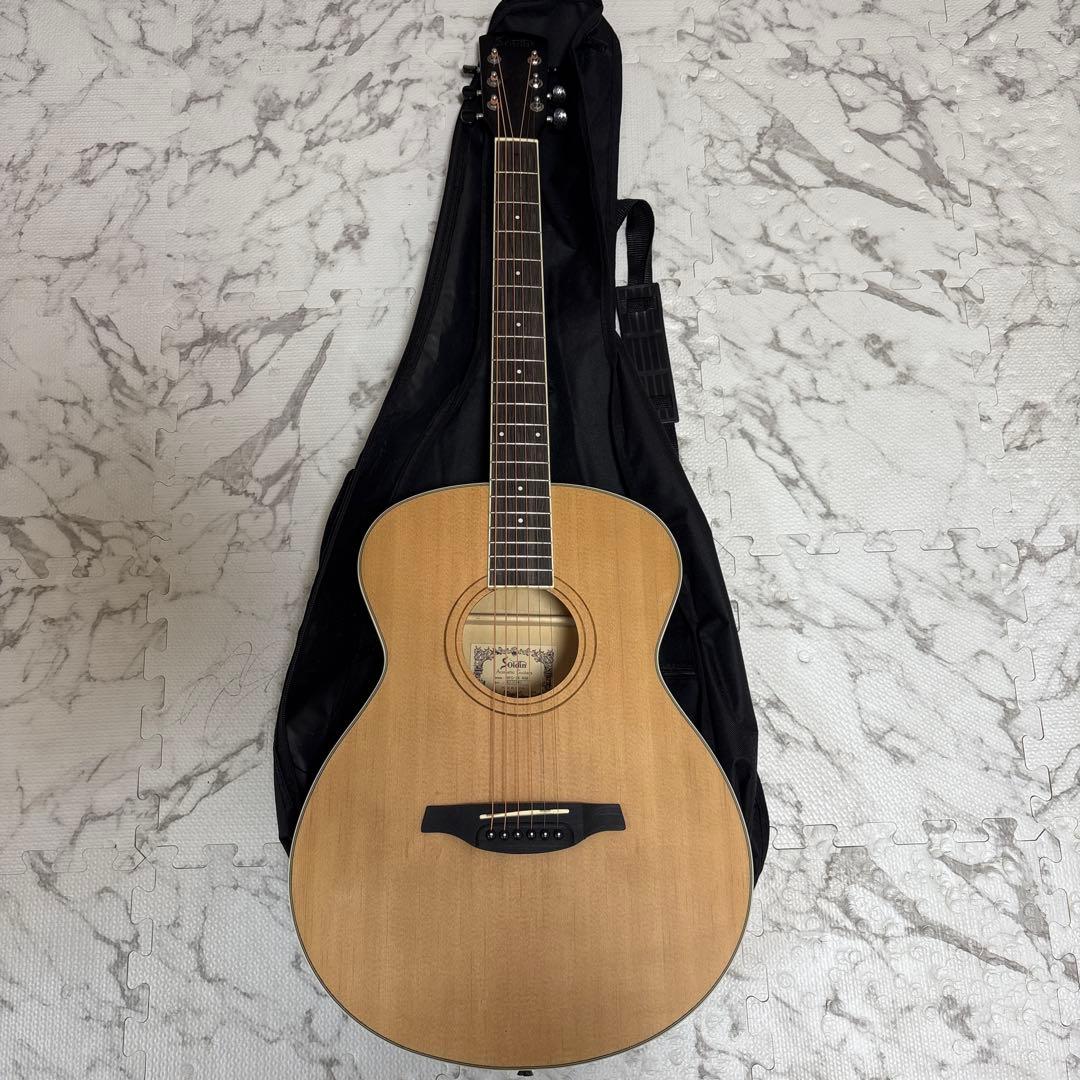 ギター Soldin SFG-15