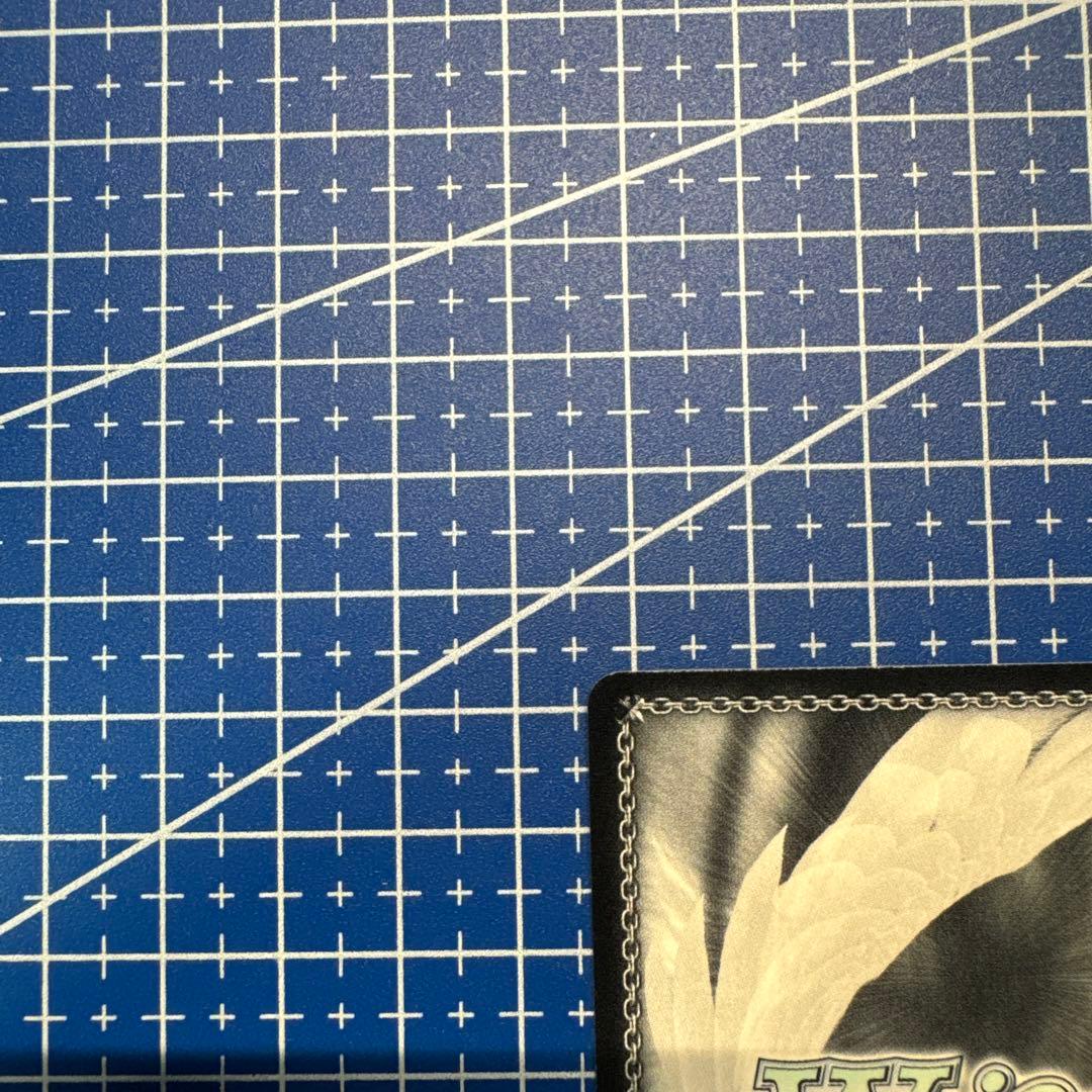 ヴァイス 貴族令嬢の幼馴染 ディア SP 角川スニーカー文庫　435