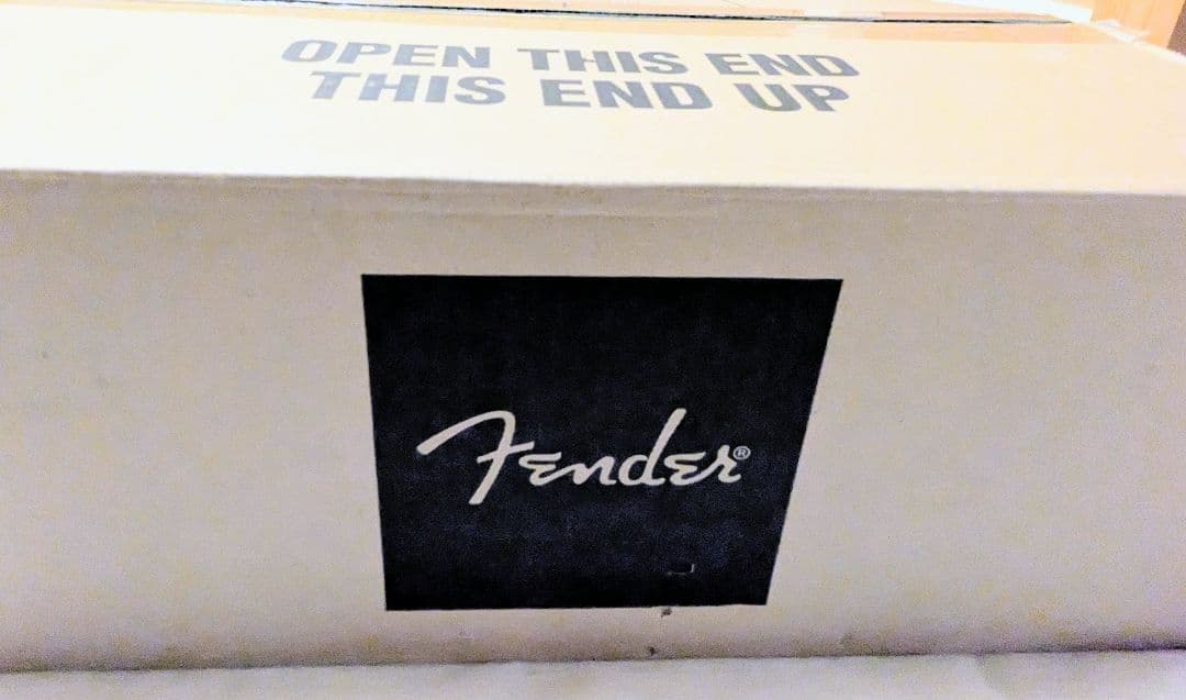 Fender Rumble 800【動作確認済・付属品完備】ベースアンプヘッド