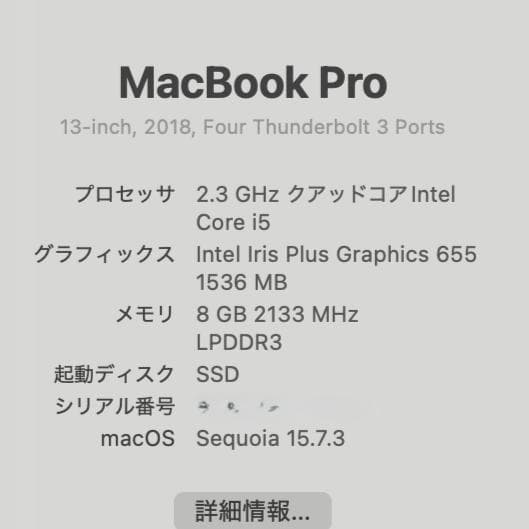 MacBook Pro 13インチ 2018 i5 8GB 256GB 70%