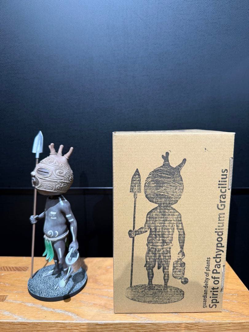 その他 Ozwrt Spirit of Pachypodium Gracilius