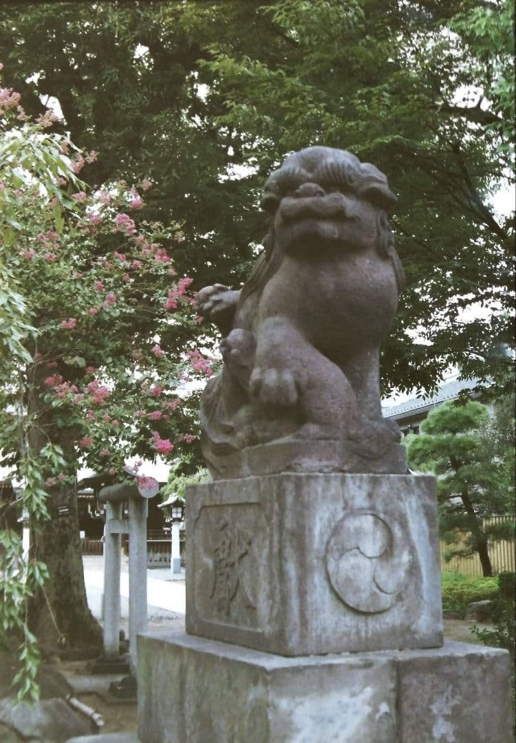 OLYMPUS PEN-D（作例あり）