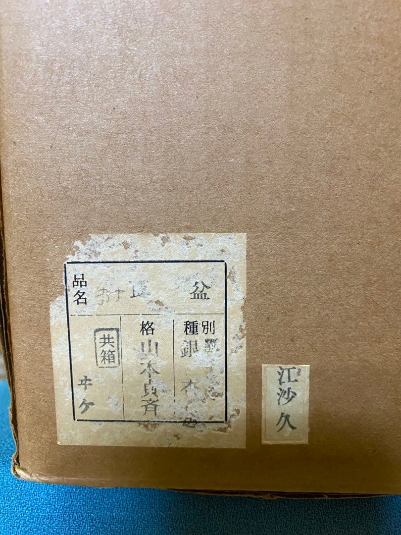 茶道具/莨盆 山本貞斎 鵬雲斎好 銀杏透 手付煙草盆 煙菅2本付