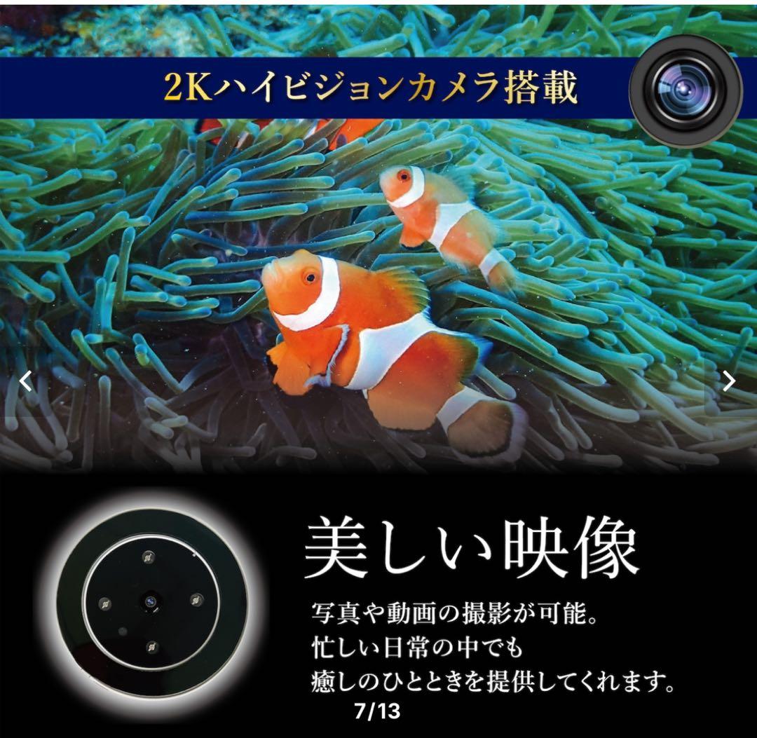 自動えさやり機（型番TOMO-FF-01）