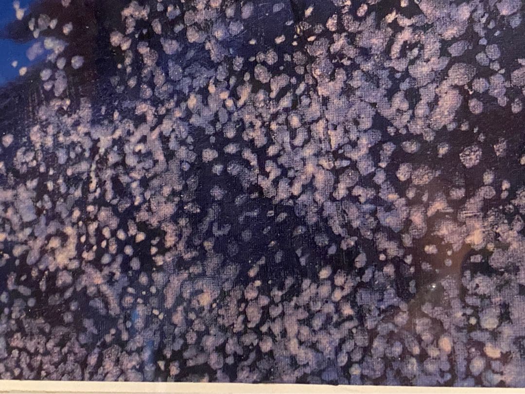 平山邦夫 法隆寺 アート 額縁 インテリア