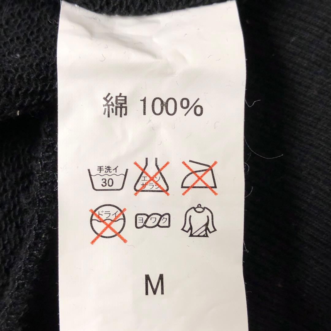 2NE1 NEW EVOLUTION in Japan ジップフーディー