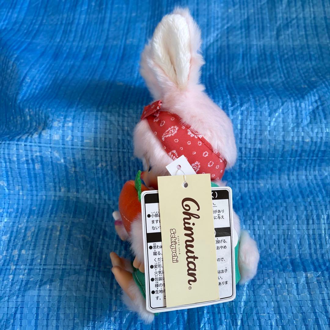 レア⬛︎希少⬛︎ベジタブル⬛︎チムたん⬛︎Sサイズ⬛︎にんじん⬛︎野菜⬛︎バンダナ⬛︎ウサギ