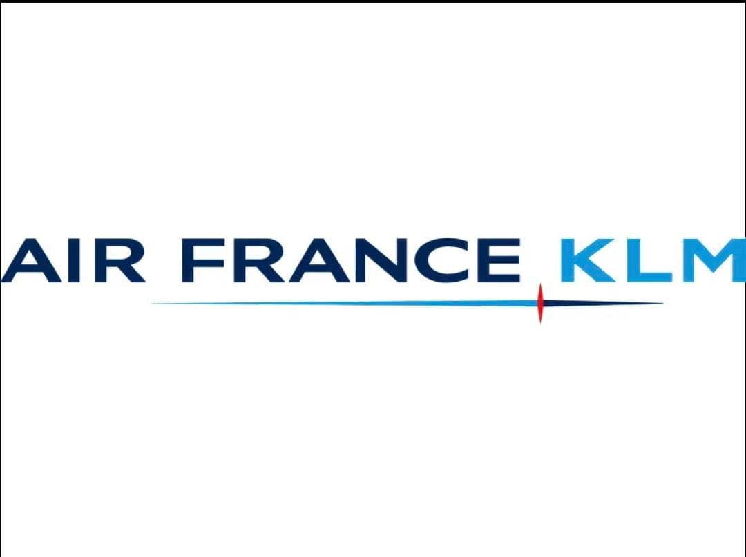 エールフランス Airlinertags A319-111 スペシャル柄