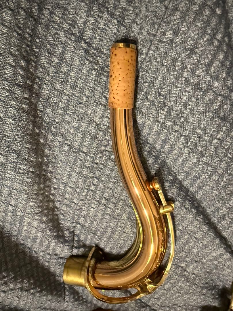 ヤナギサワ　テナーサックス　T-WO02