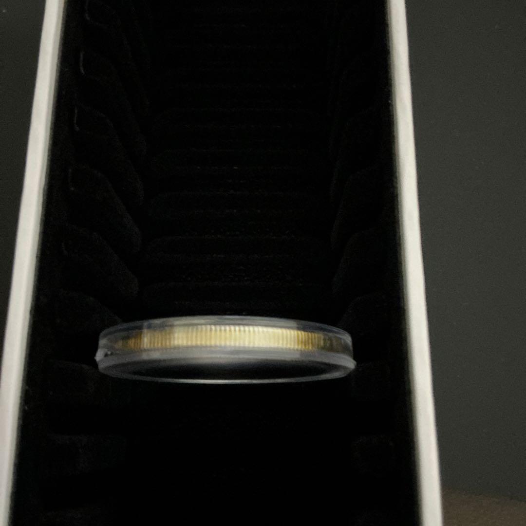 【本物保証 】 2021年 メイプルリーフ銀貨 カナダ 5ドル 1オンス 銀貨