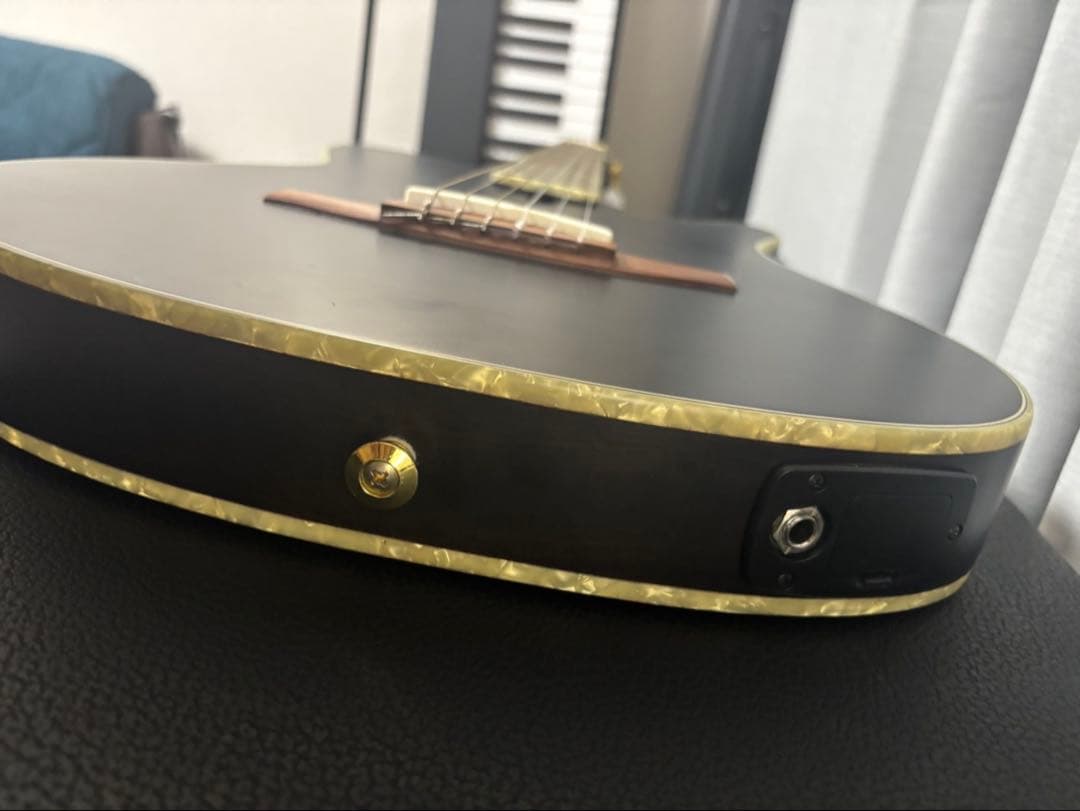 Ibanez TOD10N ティムヘンソンSignature ギター