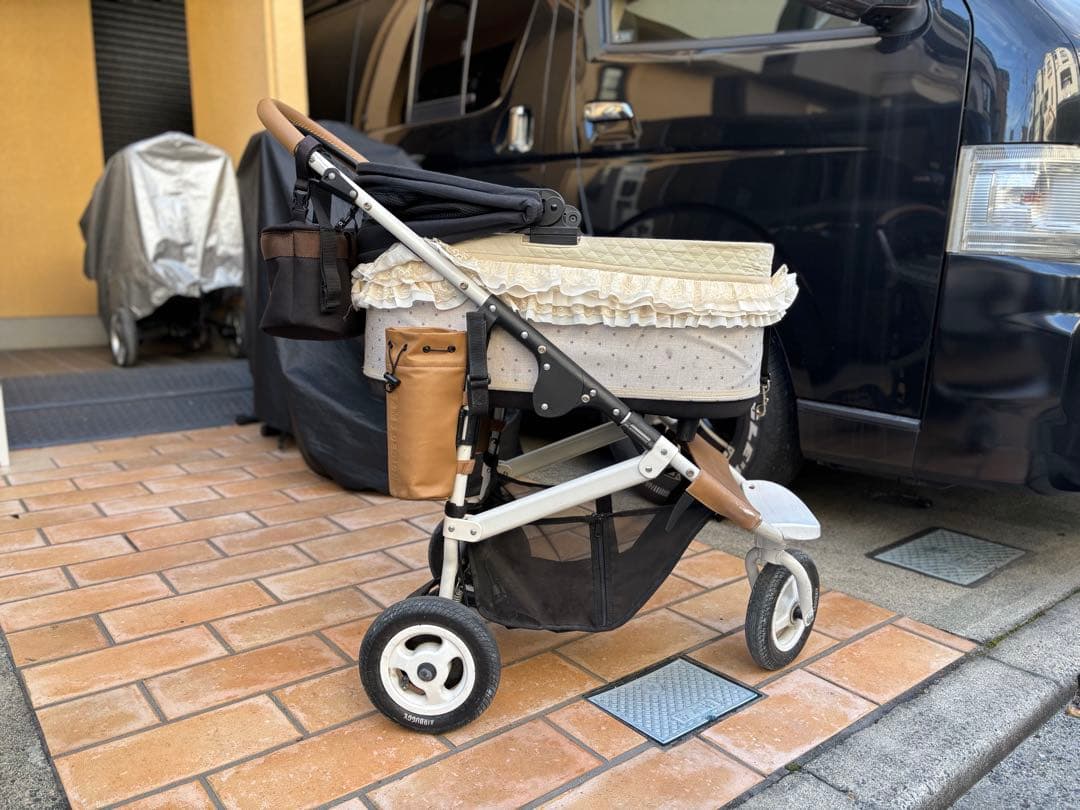 エアーバギー　ビームスコラボ