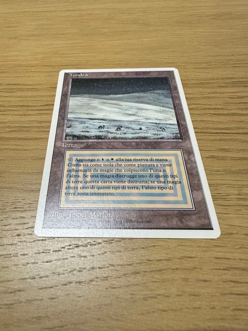 Tundra/3ED-リバイズド(イタリア語)