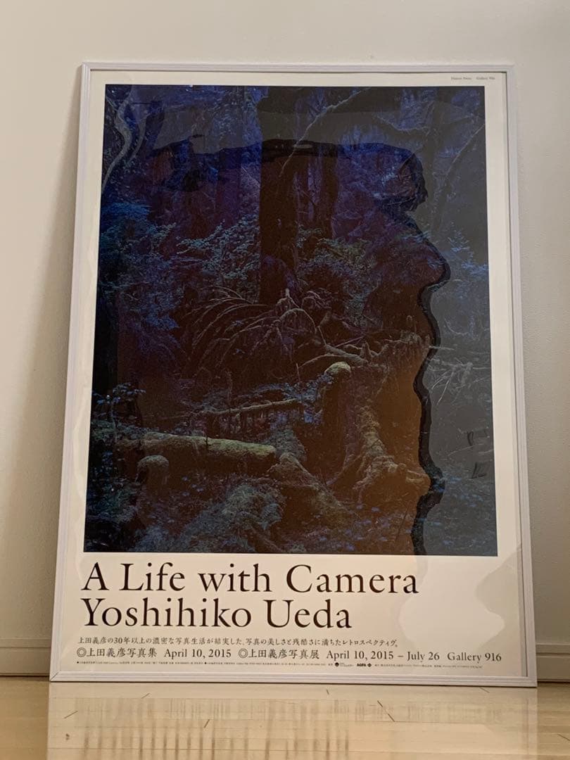 上田義彦 Life with Camera ポスター3点　アンディ・ウォーホル