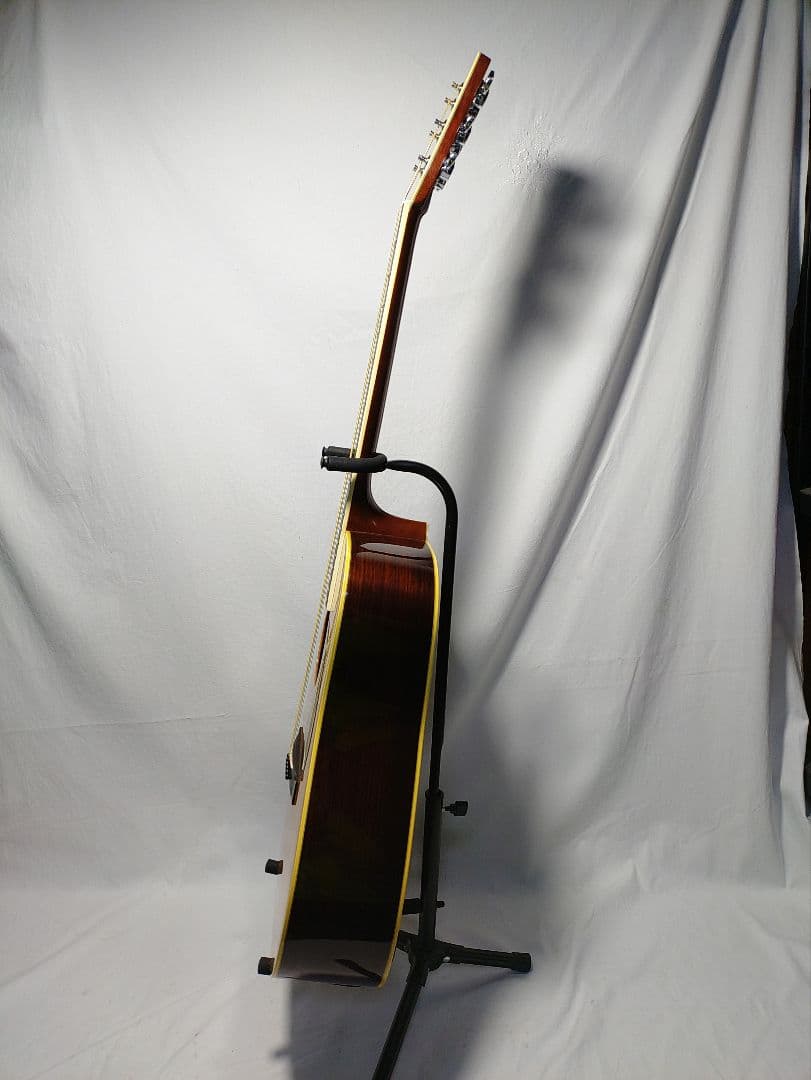 MORRIS 　SPECIAL 　TF - 50 　　ハードケース付属