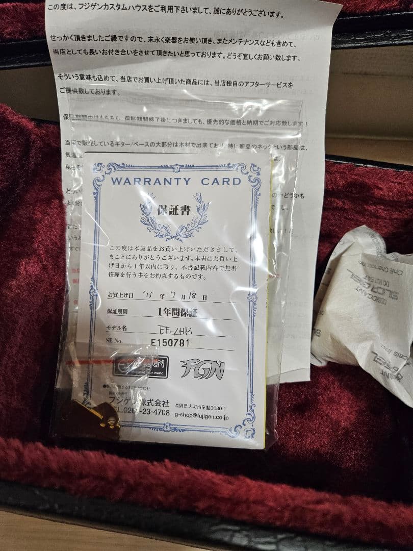 ギター FUJIGEN EFL