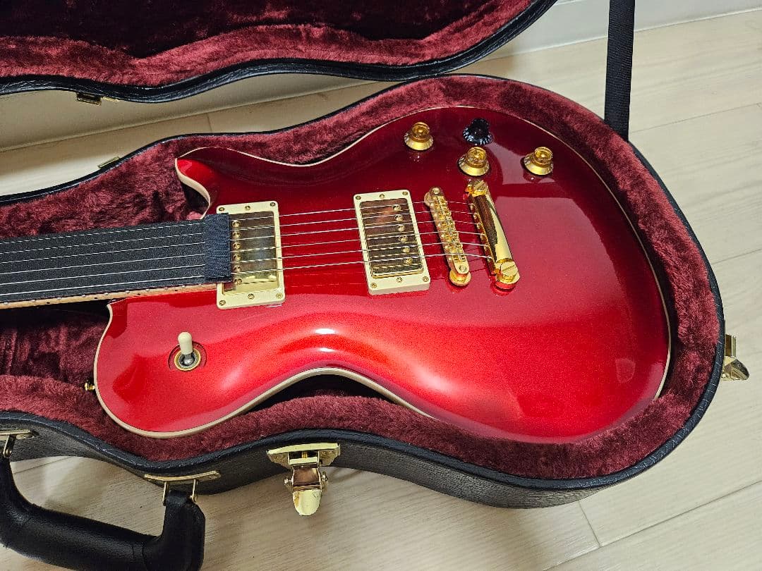 ギター FUJIGEN EFL