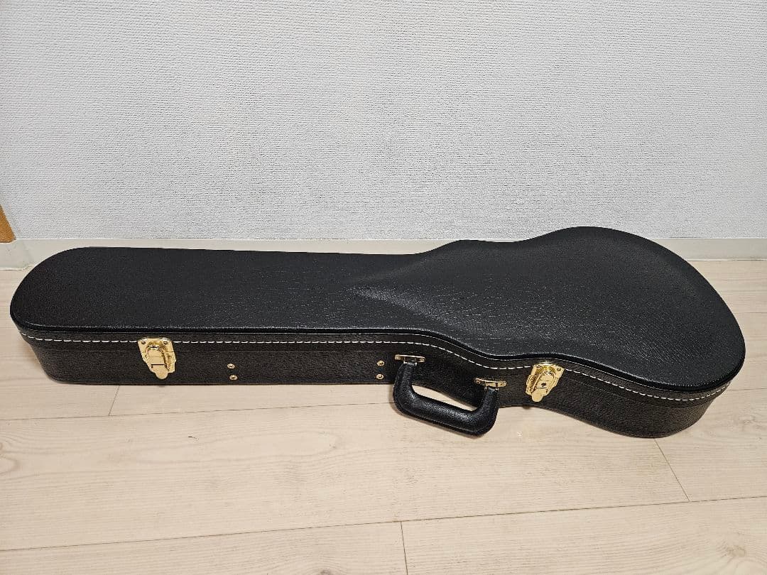 ギター FUJIGEN EFL