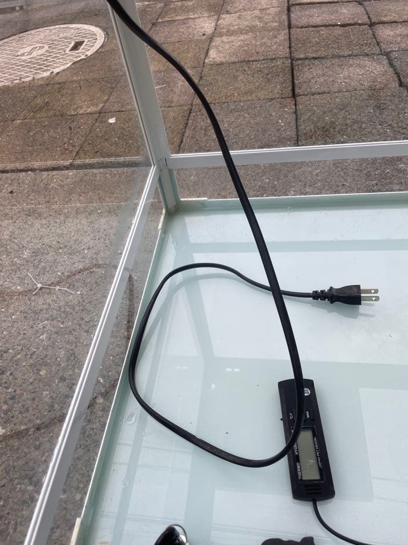 引き取り限定！レプティワイルド パンテオン 6045 暖突ち付き！