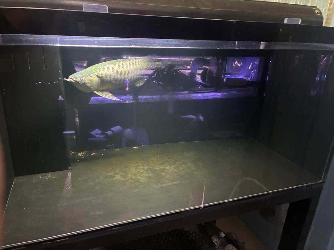 静岡県発！！！　希少なサイズ。1200アクリル水槽　オーバーフロー水槽　大型水槽