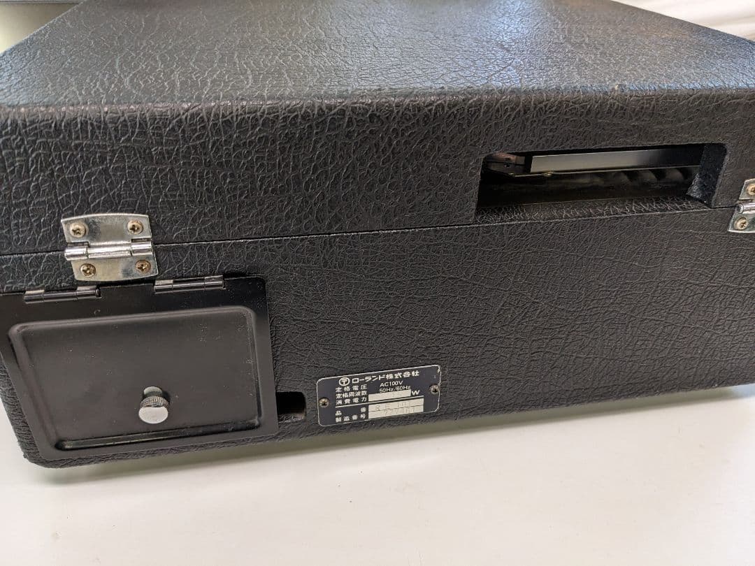 ギター Roland RE-101 Space Echo