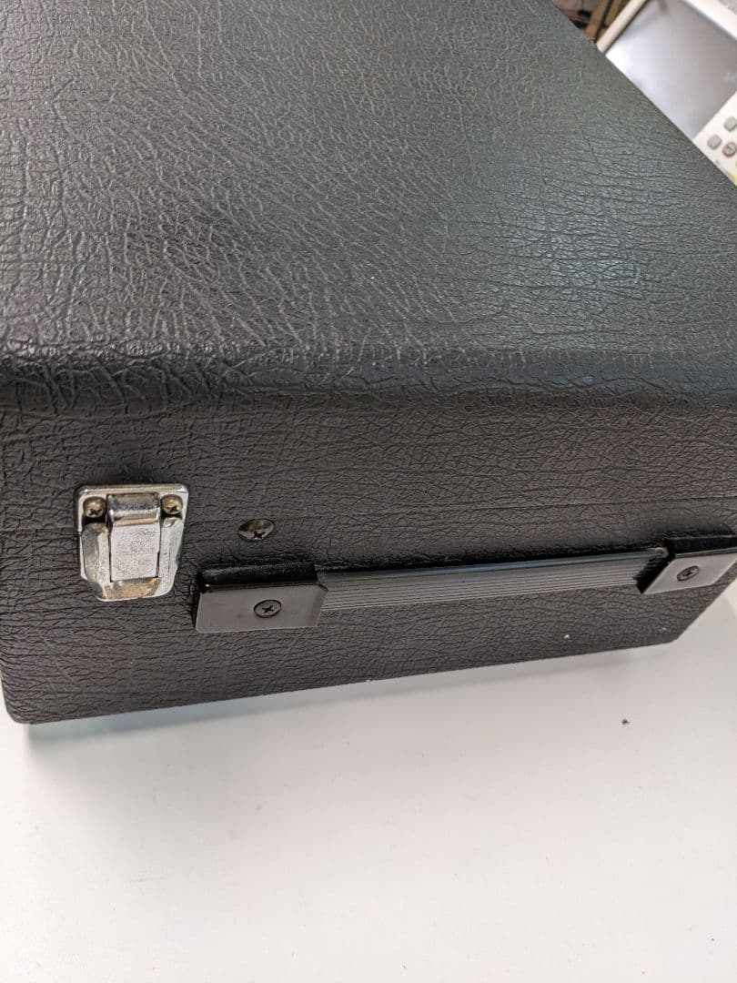 ギター Roland RE-101 Space Echo