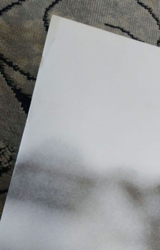 豆*）様 希少 カネコアヤノ タワレコ「NO MUSIC, NO LIFE! 特