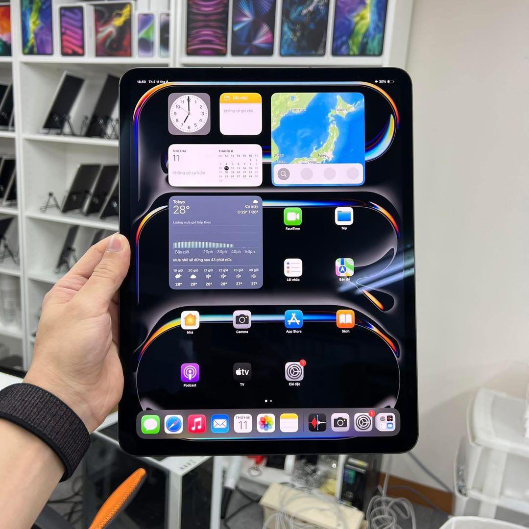 iPad Pro M4 13インチ256GBWi-Fi +Cellul